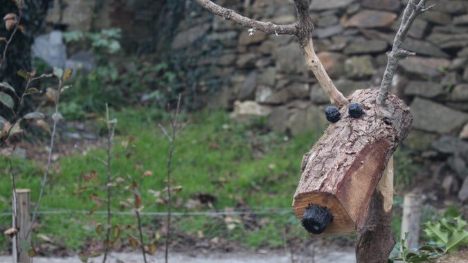 Wooden reindeer in the orchard at Pentire, North Cornwall
